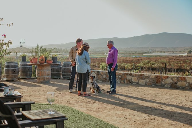 Xecue Wine Tasting in the Guadalupe Valley - Food options that can extend the visit
