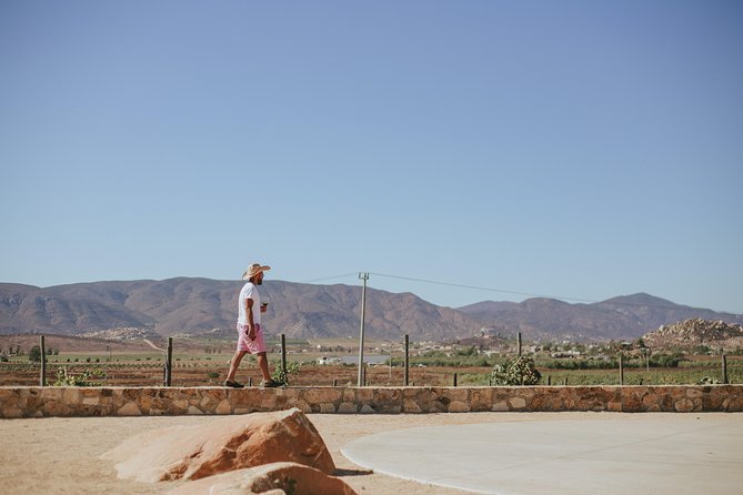Xecue Wine Tasting in the Guadalupe Valley - The setting, service, and overall mood
