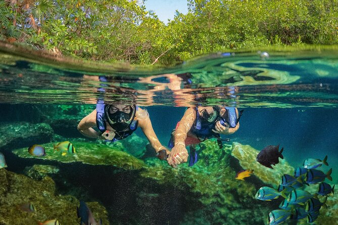Xel-Ha Park Admission Tickets - Start early at 8:30am and save the walking for cooler hours