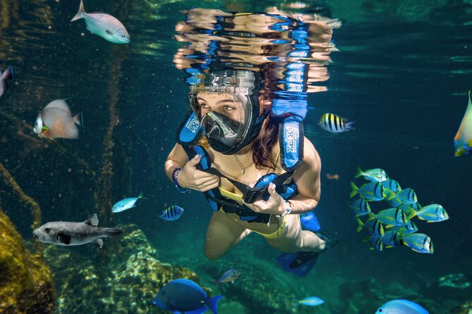 Xel-Ha Tickets with Transportation included - Choosing Light or All-Inclusive entry