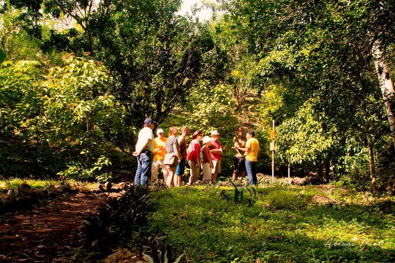 Xkopek, Mayan Bees Tour and Honey Tasting in Valladolid - Why this bee tour feels different from a standard tasting