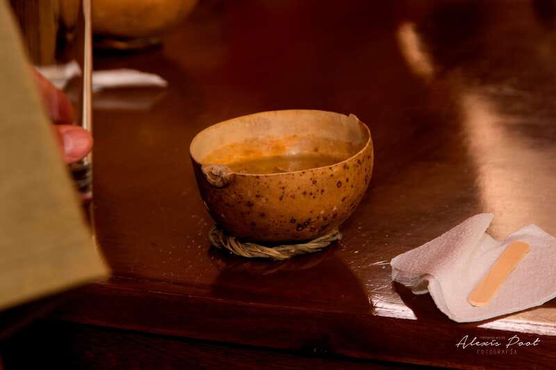 Xkopek, Mayan Bees Tour and Honey Tasting in Valladolid - Who should book this experience