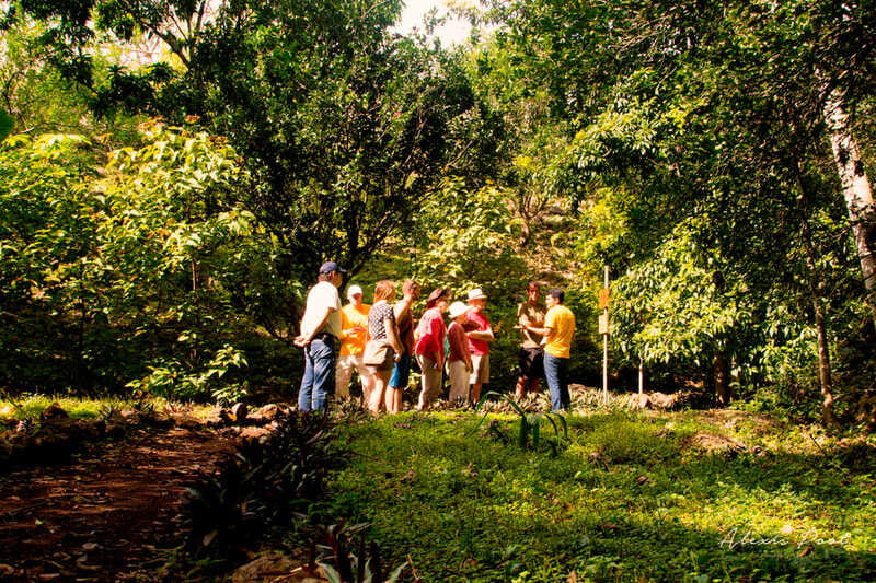 Xkopek, Mayan Bees Tour and Honey Tasting in Valladolid - Practical tips for a smoother visit