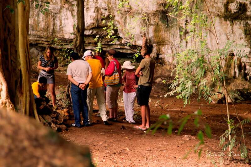 Xkopek, Mayan Bees Tour and Honey Tasting in Valladolid - Starting with plants above the dry cenote