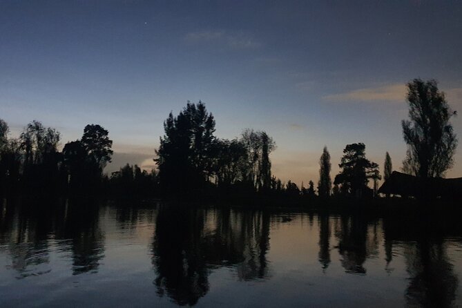 Xochimilco Barco Fiesta Tentacion 18+ with Open Bar and Tacos - What kind of Xochimilco experience is this?