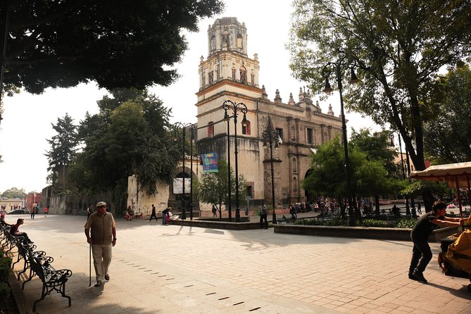 Xochimilco, Coyoacan and Frida Kahlo with Optional Lunch - Xochimilco’s canals and the hour on a trajinera