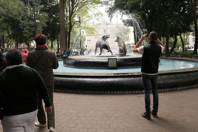 Xochimilco, Coyoacan and Frida Kahlo with Optional Lunch - Should you add lunch?