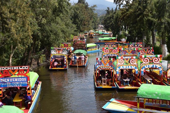 XOCHIMILCO & COYOACAN (Private) - Pickup, traffic, and the four-hour clock
