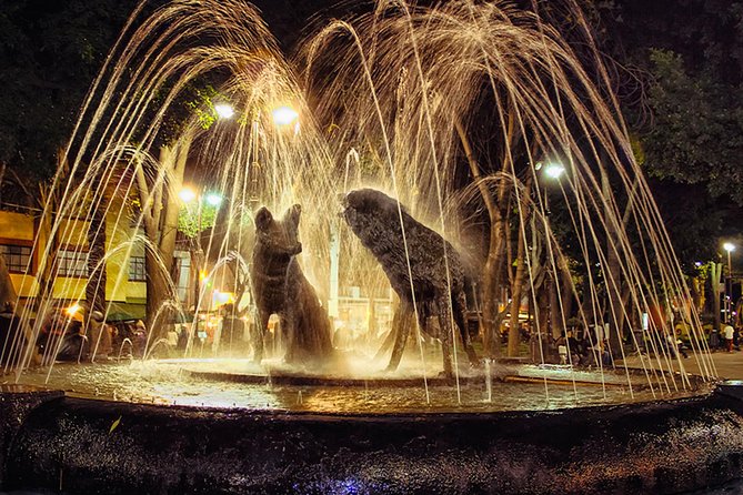 XOCHIMILCO & COYOACAN (Private) - Who will enjoy this tour most