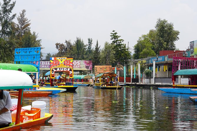 Xochimilco & Coyoacan with Frida Kahlo Private Tour - How much time will you spend in the vehicle?