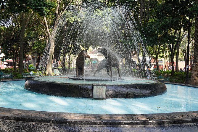 Xochimilco & Coyoacan with Frida Kahlo Private Tour - The guide matters more than the vehicle