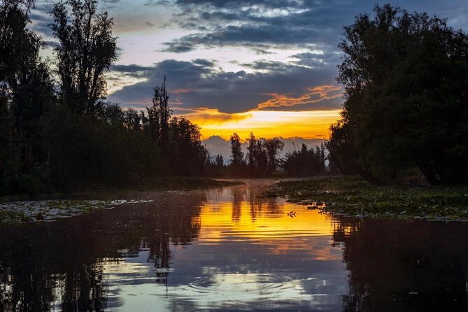 Xochimilco Sunrise from Mexico - The 5:00 a.m. start is a real commitment