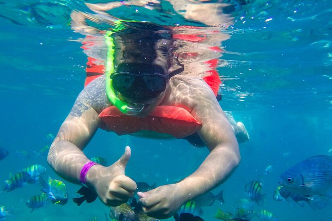 Yelapa Waterfall, BBQ at Exclusive Majahuitas Beach & Open bar - Snorkeling depends heavily on the sea