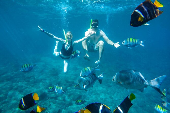 Yelapa Waterfall, BBQ at Exclusive Majahuitas Beach & Open bar - Who will enjoy this Puerto Vallarta day trip