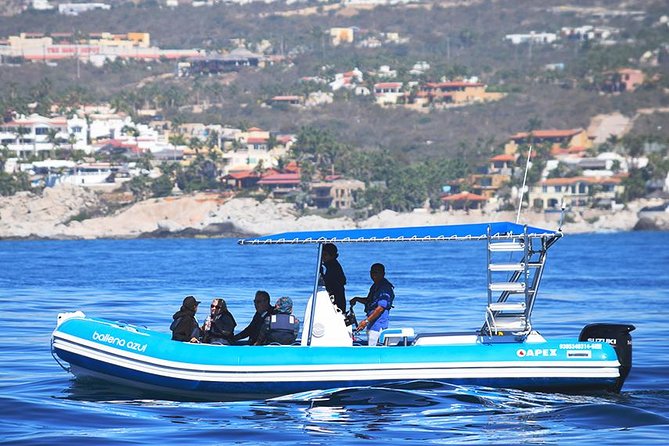 ZODIAC Whale Watch Tour | Cabo San Lucas | Biologist | FREE Pics - Setting out from Cabo Marina